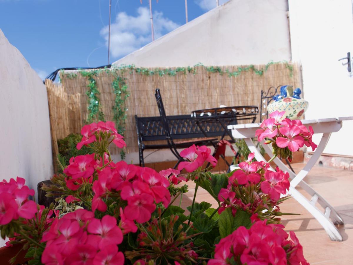 Playa Alcaravaneras Apartment